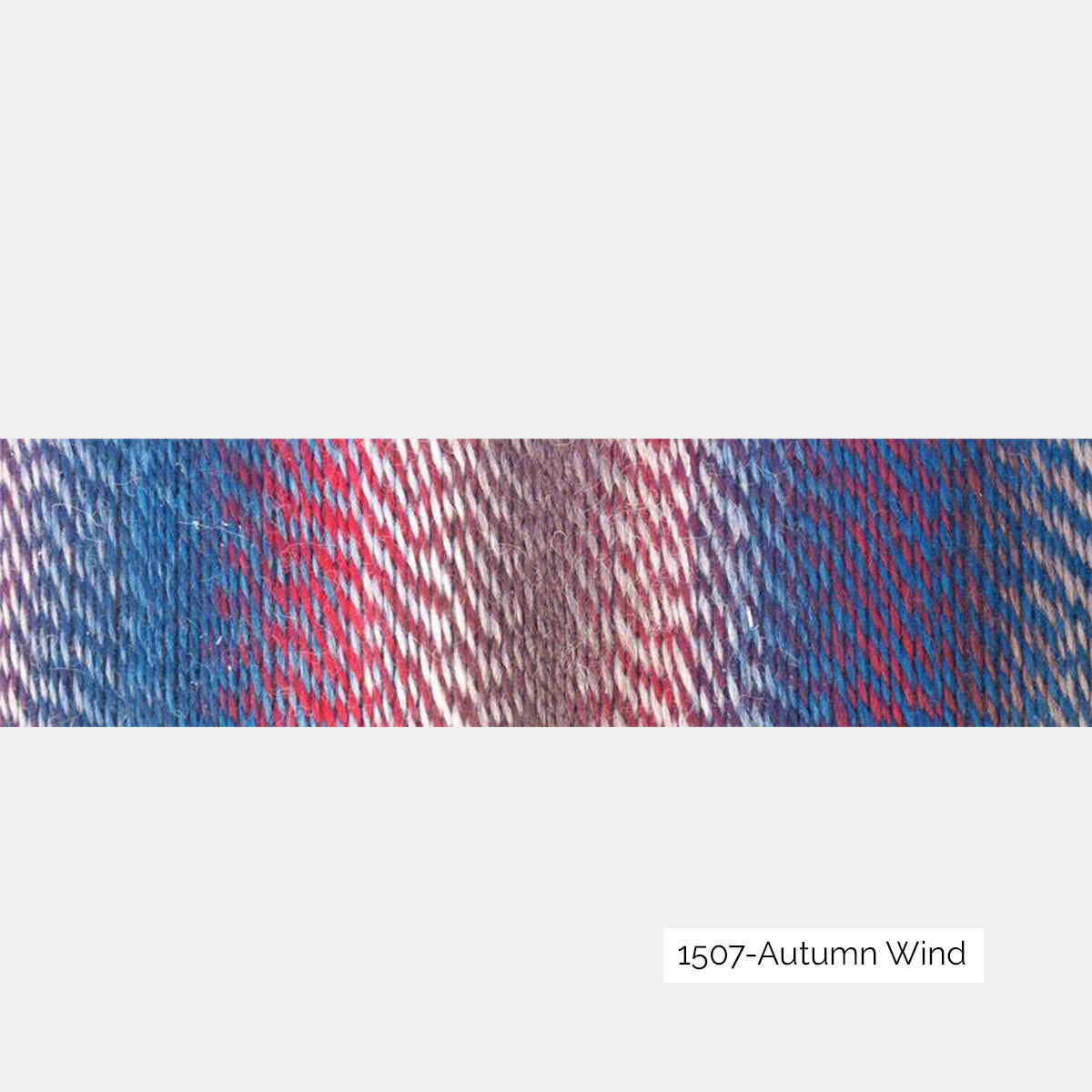 Crazy Zauberball de Schoppel Wolle, coloris 1507 Autumn Wind