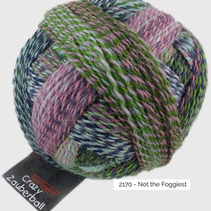Pelote de Crazy Zauberball de Schoppel Wolle coloris 2170 Not the Foggiest