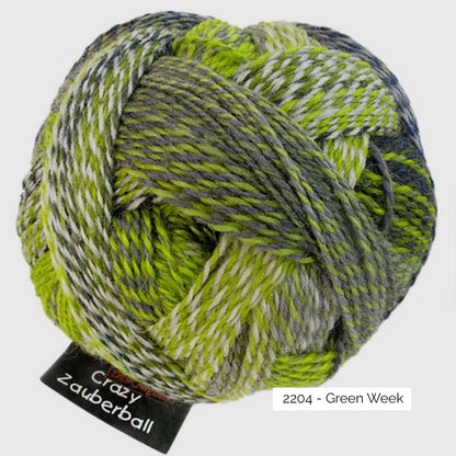 Pelote de Crazy Zauberball de Schoppel Wolle coloris 2204 Green Week