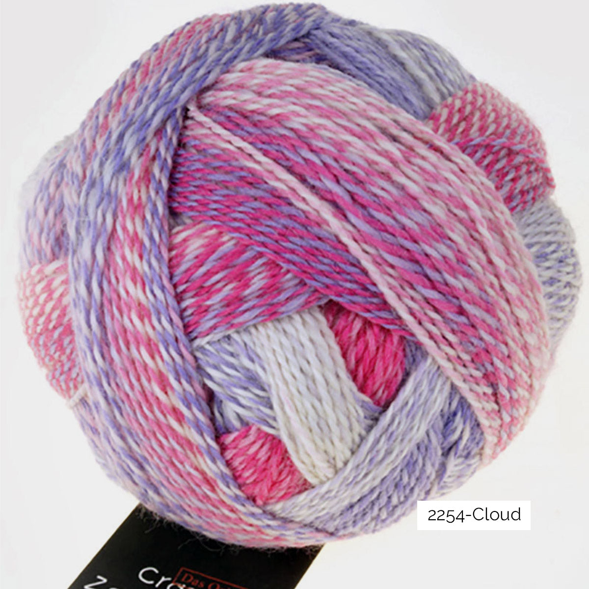 Pelote de Crazy Zauberball de Schoppel Wolle coloris 2254 Cloud