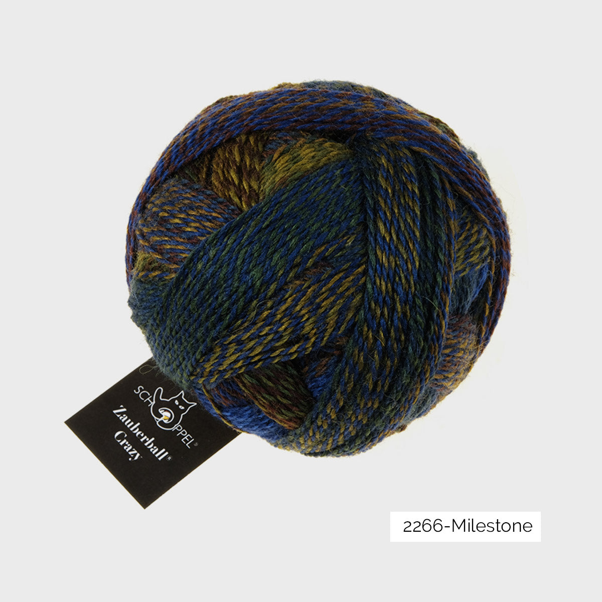Pelote de Crazy Zauberball de Schoppel Wolle coloris 2266 Milestone
