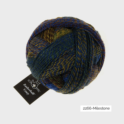 Pelote de Crazy Zauberball de Schoppel Wolle coloris 2266 Milestone