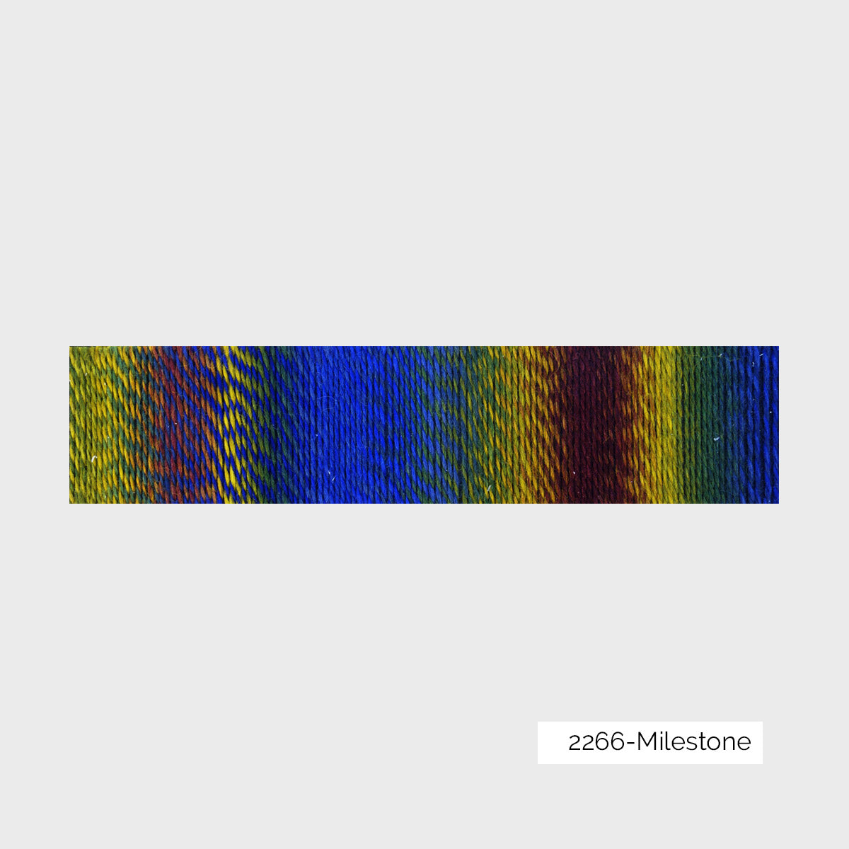Crazy Zauberball de Schoppel Wolle coloris 2266 Milestone