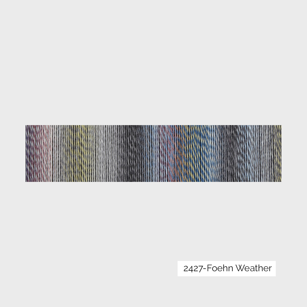 Crazy Zauberball de Schoppel Wolle coloris 2427 Foehn Weather