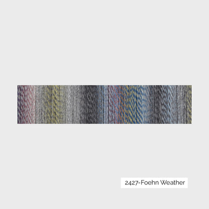 Crazy Zauberball de Schoppel Wolle coloris 2427 Foehn Weather