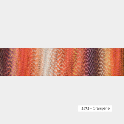 Crazy Zauberball de Schoppel Wolle coloris 2472 Orangerie