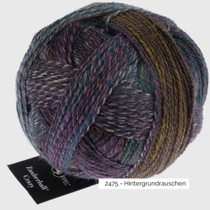 Pelote de Crazy Zauberball de Schoppel Wolle coloris 2475 Hintergrundrauschen