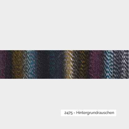 Crazy Zauberball de Schoppel Wolle coloris 2475 Hintergrundrauschen
