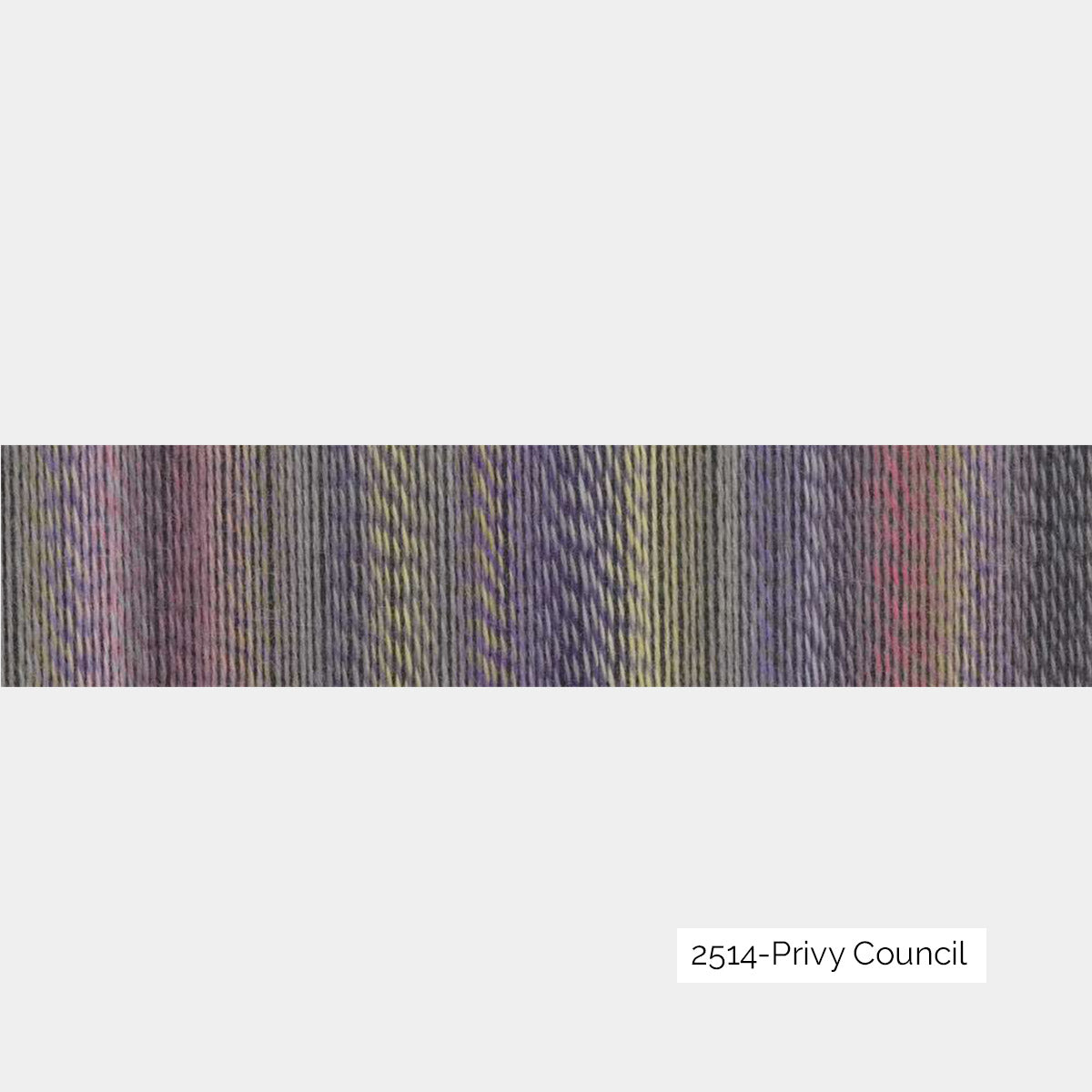 Crazy Zauberball de Schoppel Wolle coloris 2514 Privy Council