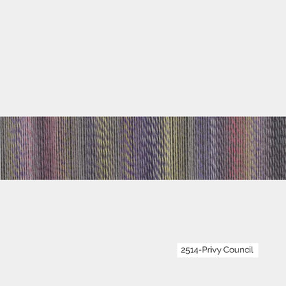 Crazy Zauberball de Schoppel Wolle coloris 2514 Privy Council