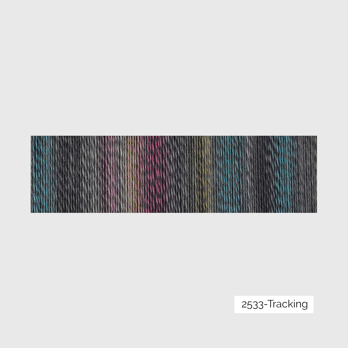 Crazy Zauberball de Schoppel Wolle coloris 2533 Tracking 