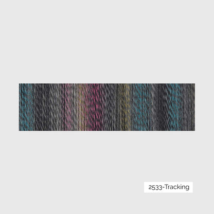 Crazy Zauberball de Schoppel Wolle coloris 2533 Tracking 