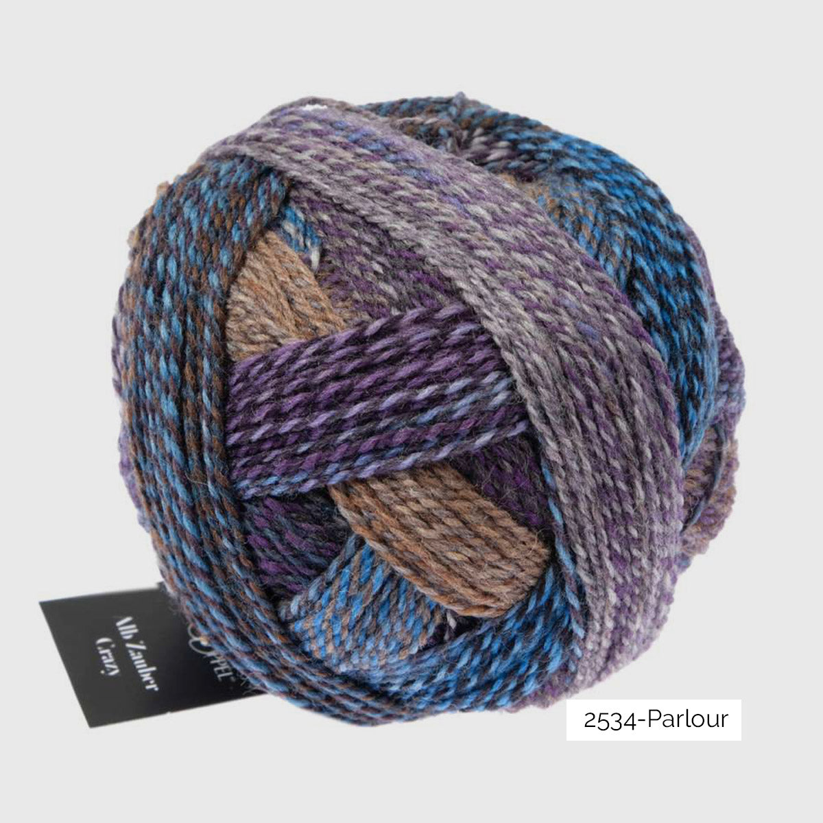 Pelote de Crazy Zauberball de Schoppel Wolle coloris 2534 Parlour