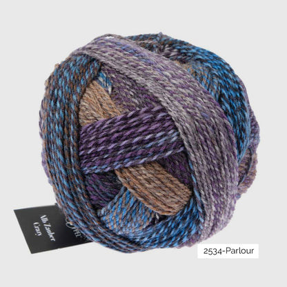 Pelote de Crazy Zauberball de Schoppel Wolle coloris 2534 Parlour