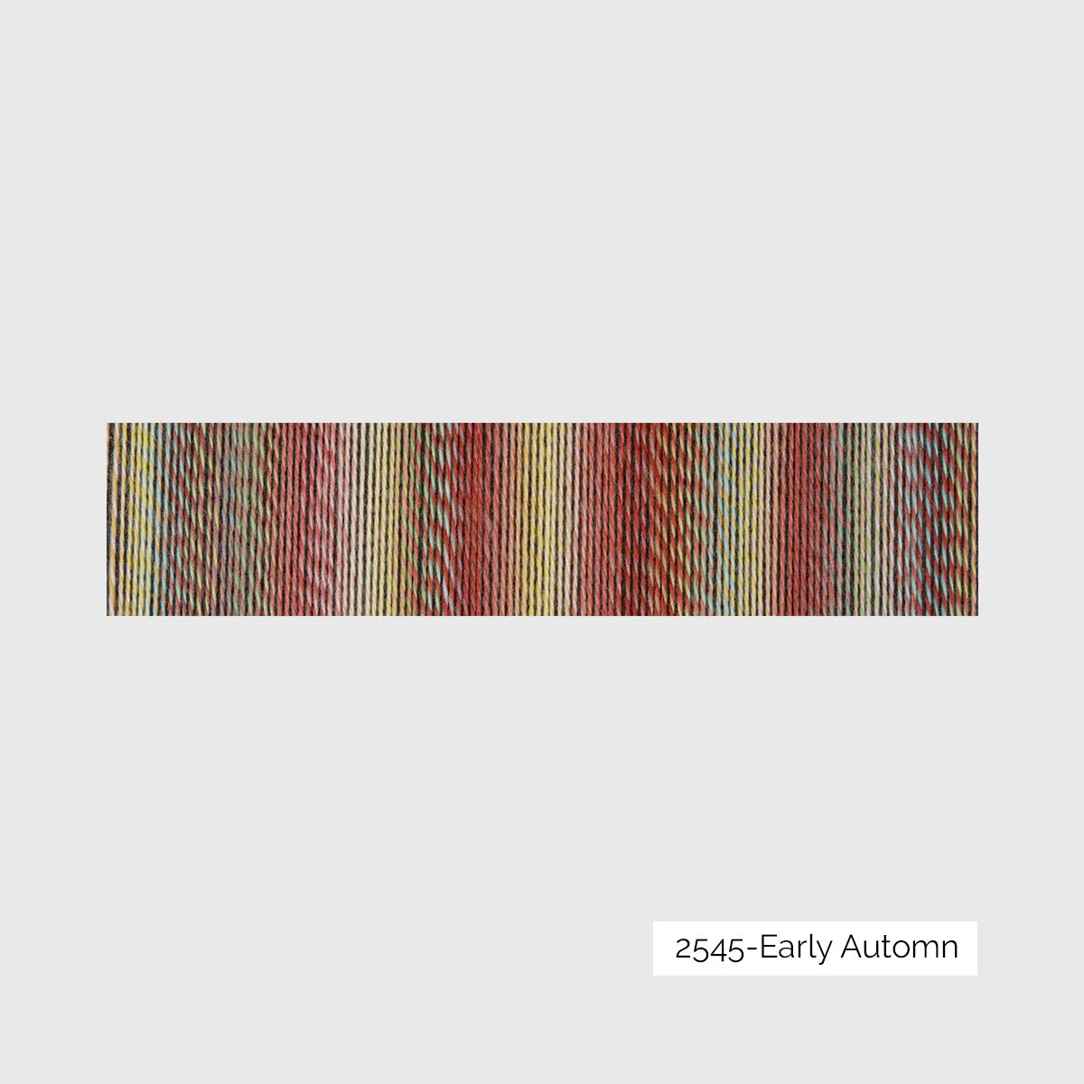 Crazy Zauberball de Schoppel Wolle coloris 2545 Early Autumn