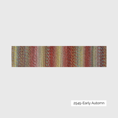 Crazy Zauberball de Schoppel Wolle coloris 2545 Early Autumn