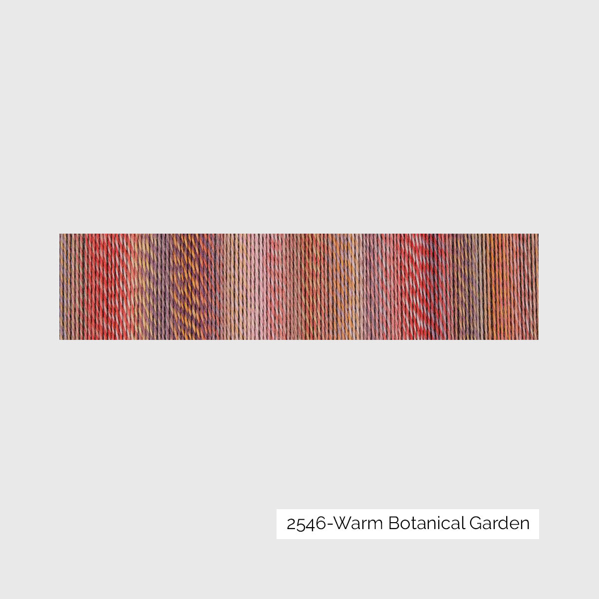Crazy Zauberball de Schoppel Wolle coloris 2546 Warm Botanical Garden 