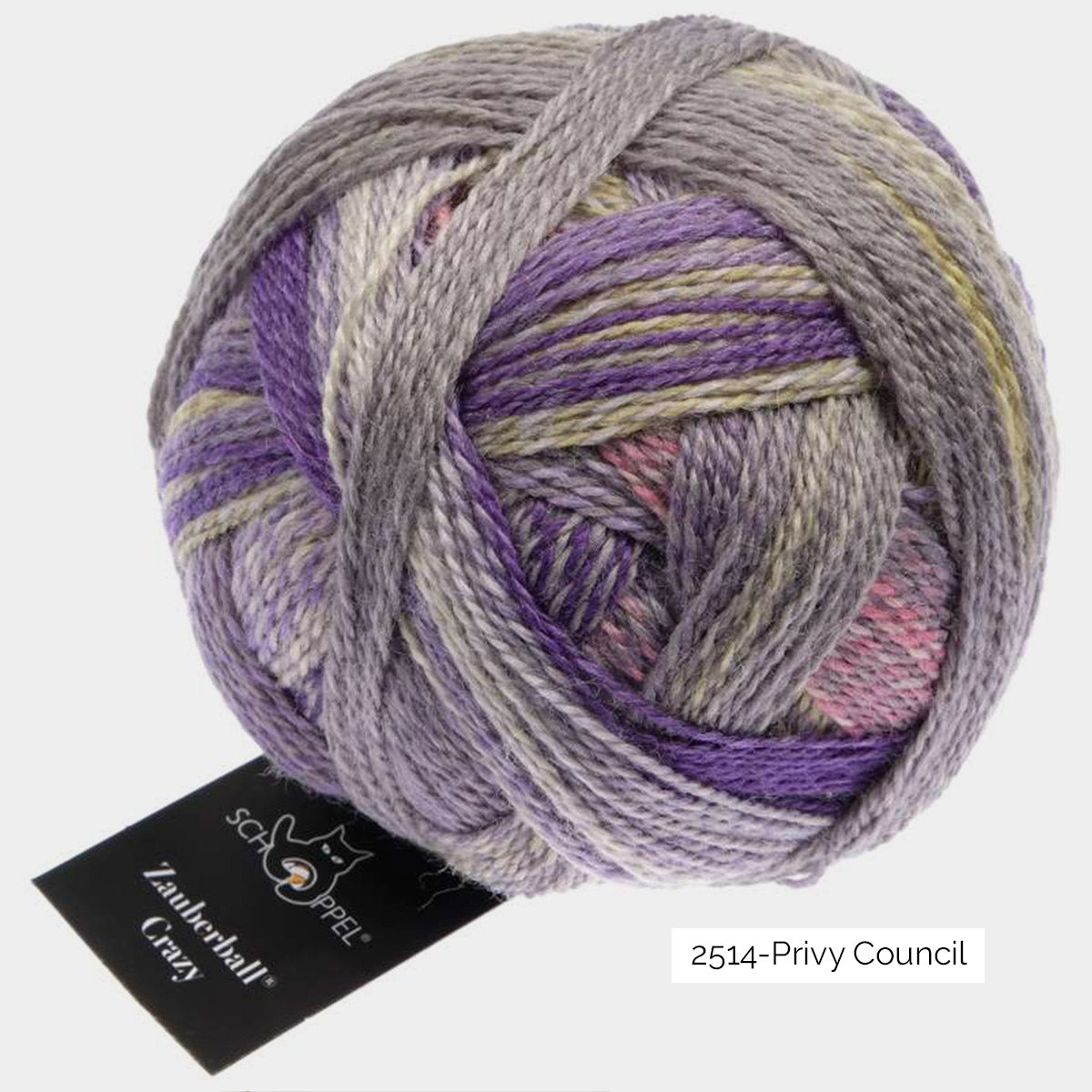 Pelote de Crazy Zauberball de Schoppel Wolle coloris 2514 Privy Council