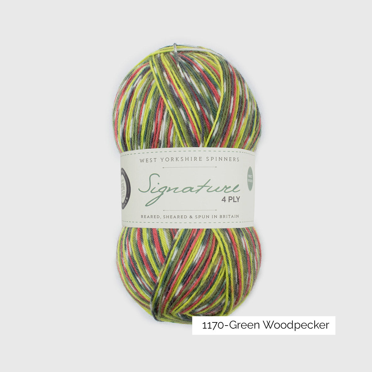 Pelote de Signature 4ply de West Yorkshire Spinners (WYS), coloris 1170 Green Woodpecker