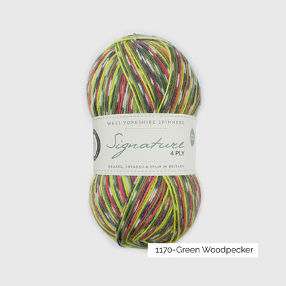 Pelote de Signature 4ply de West Yorkshire Spinners (WYS), coloris 1170 Green Woodpecker