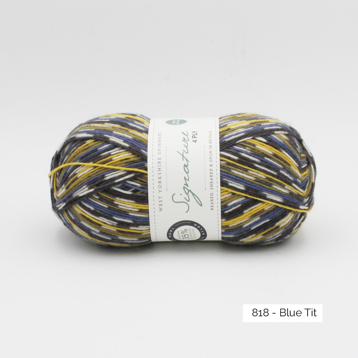 Pelote de Signature 4ply de West Yorkshire Spinners (WYS), coloris 818 Blue Tit