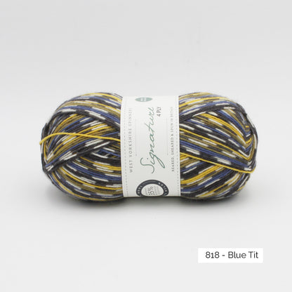 Pelote de Signature 4ply de West Yorkshire Spinners (WYS), coloris 818 Blue Tit