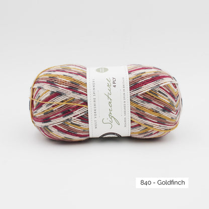 Pelote de Signature 4ply de West Yorkshire Spinners (WYS), coloris 840 Goldfinch