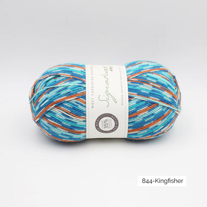 Pelote de Signature 4ply de West Yorkshire Spinners (WYS), coloris 844 Kingfisher