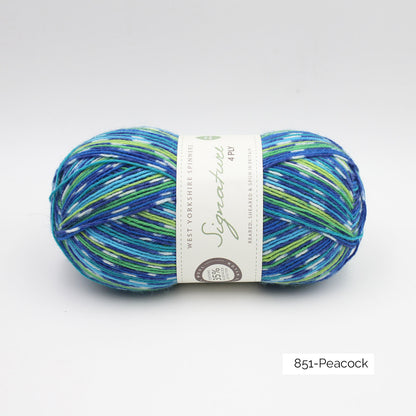 Pelote de Signature 4ply de West Yorkshire Spinners (WYS), coloris 851 Peacock