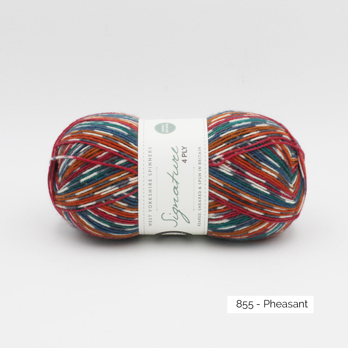Pelote de Signature 4ply de West Yorkshire Spinners (WYS), coloris 855 Pheasant