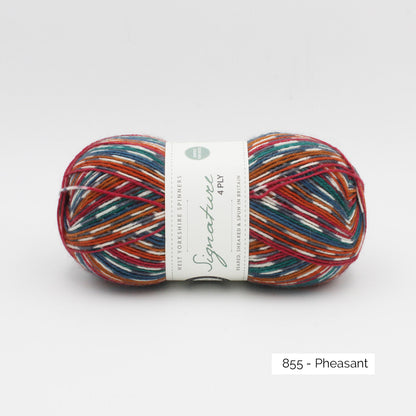 Pelote de Signature 4ply de West Yorkshire Spinners (WYS), coloris 855 Pheasant