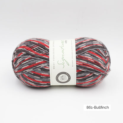 Pelote de Signature 4ply de West Yorkshire Spinners (WYS), coloris 861 Bullfinch