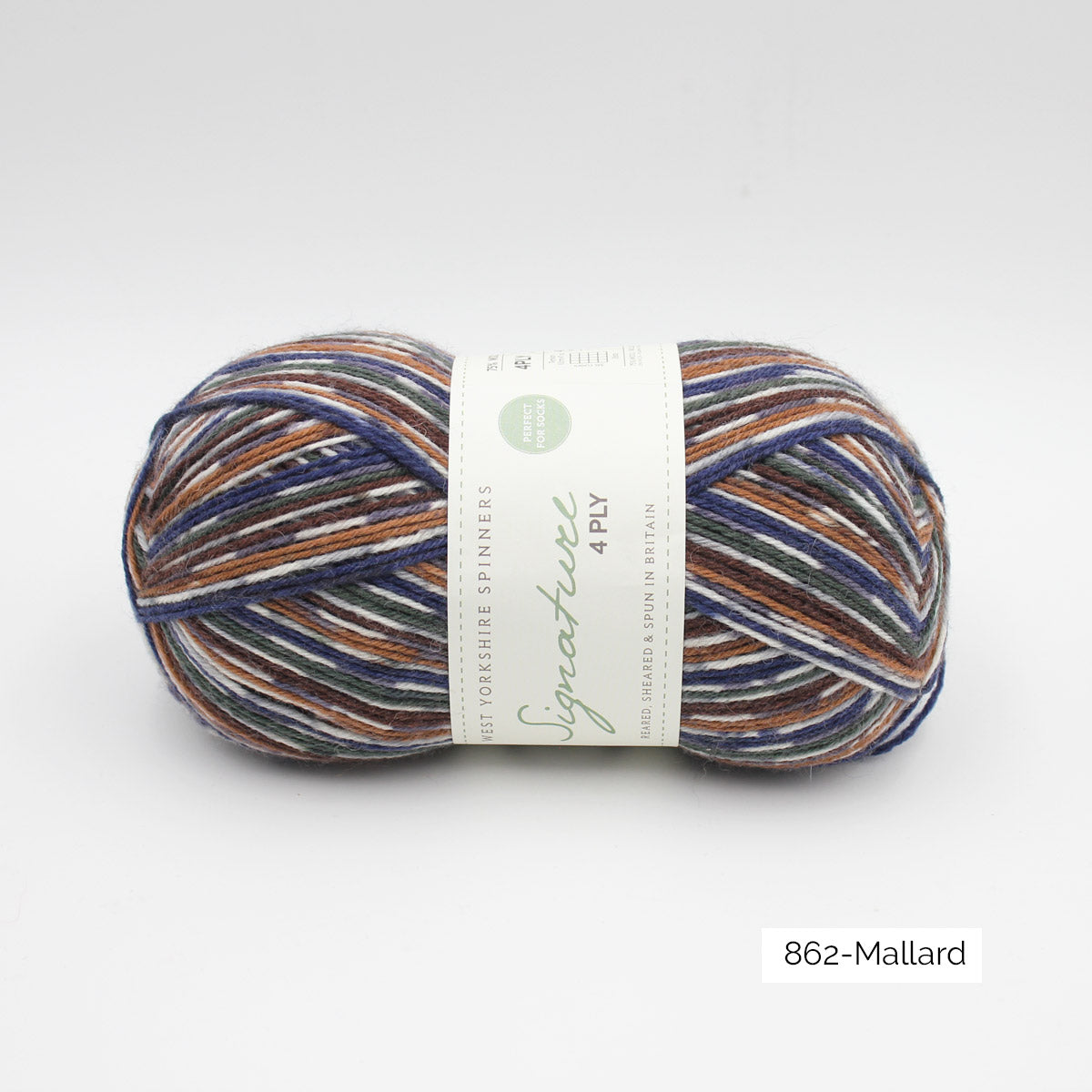 Pelote de Signature 4ply de West Yorkshire Spinners (WYS), coloris 862 Mallard