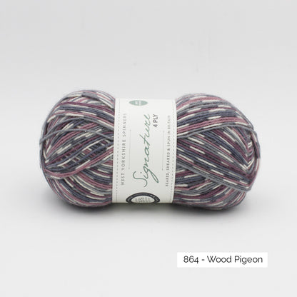 Pelote de Signature 4ply de West Yorkshire Spinners (WYS), coloris 864 Wood Pigeon