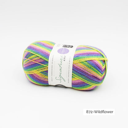 Pelote de Signature 4ply de West Yorkshire Spinners (WYS), collection Winwick Mum, coloris 872 Wild Flower