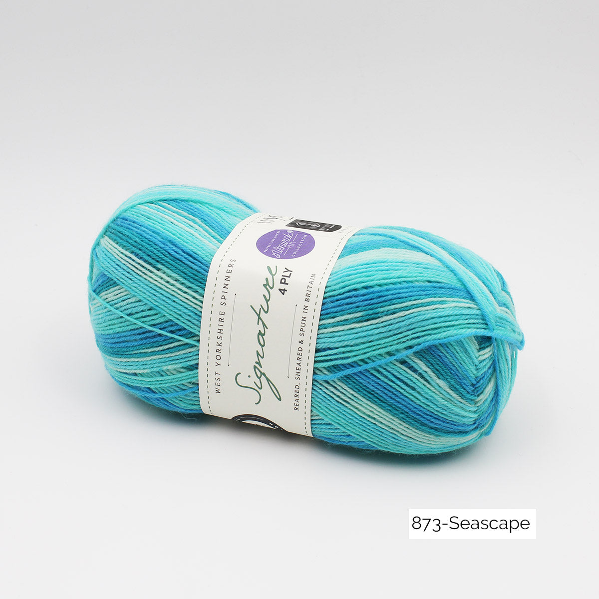 Pelote de Signature 4ply de West Yorkshire Spinners (WYS), collection Winwick Mum, coloris 873 Seascape