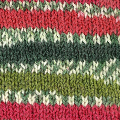 Signature 4-ply de West Yorkshire Spinners (WYS), coloris 886 Holly Berry
