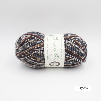 Pelote de Signature 4ply de West Yorkshire Spinners (WYS), coloris 877 Owl